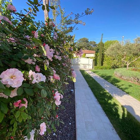 Bellaisa Bed & Breakfast Camaiore Zewnętrze zdjęcie