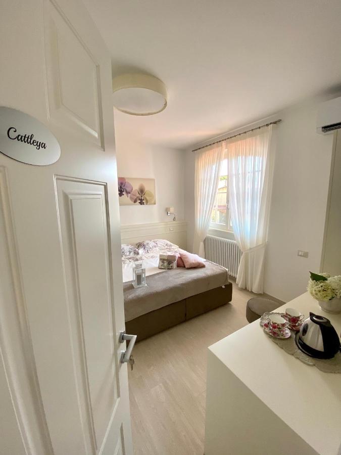 Bellaisa Bed & Breakfast Camaiore Zewnętrze zdjęcie